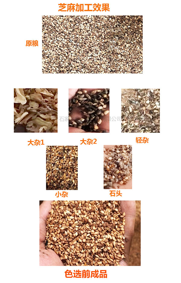 1590992273432069.jpg 芝麻篩選效果.jpg