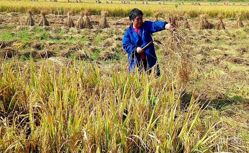 1694654319268563.png 圖片4.png