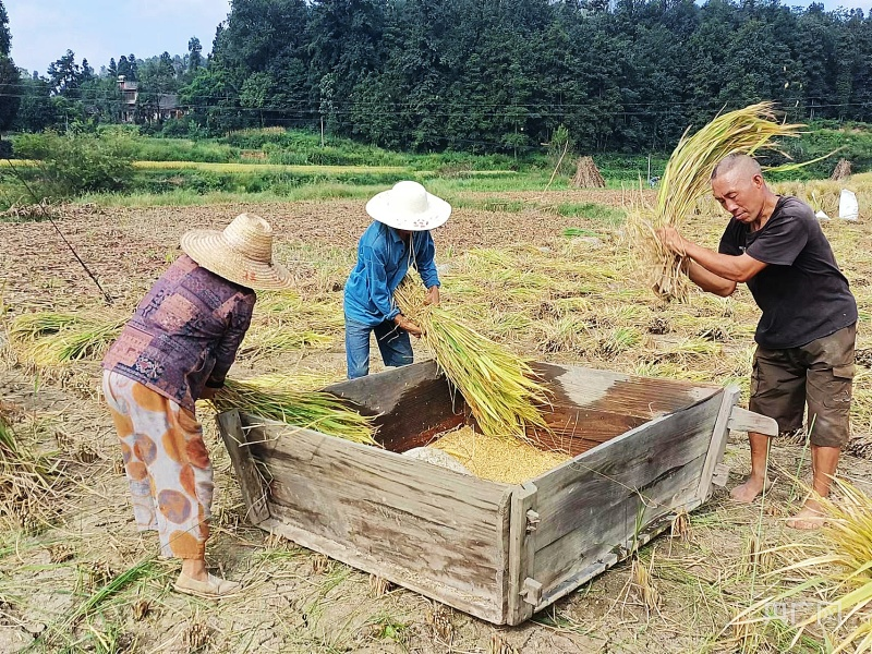 1694654336741470.png 圖片5.png