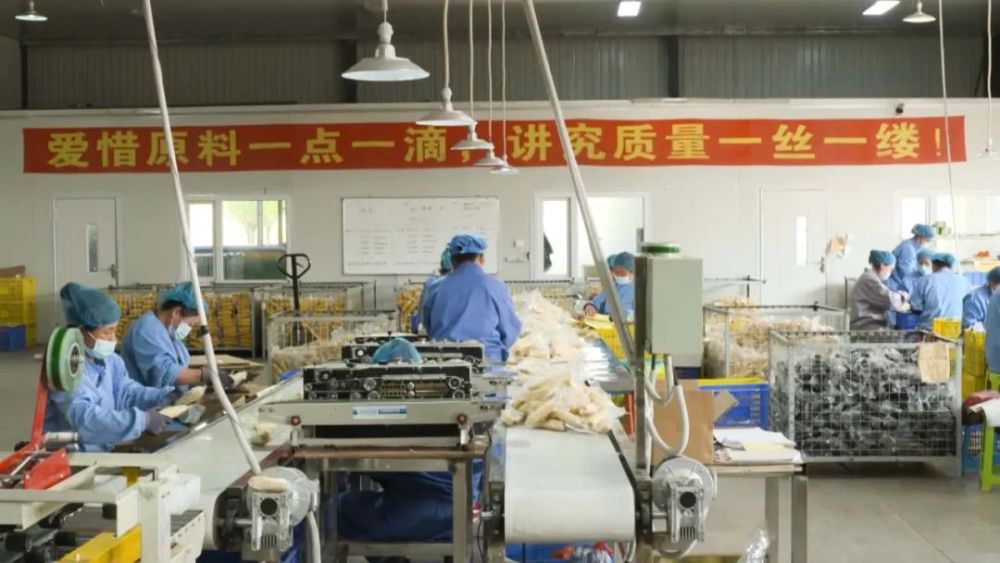 1703746405347573.jpg 圖片5.jpg