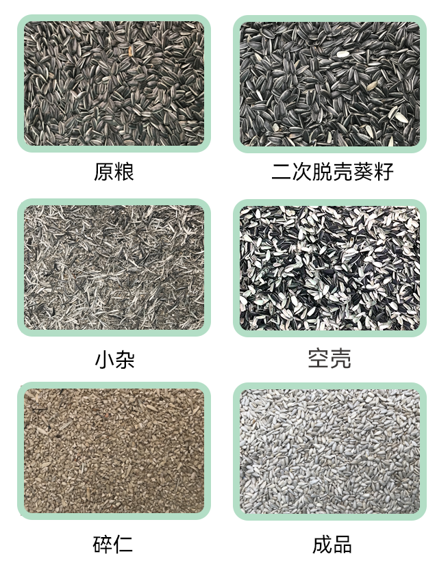 1769147501618408.jpg 葵花籽脫殼生產線小程序.jpg