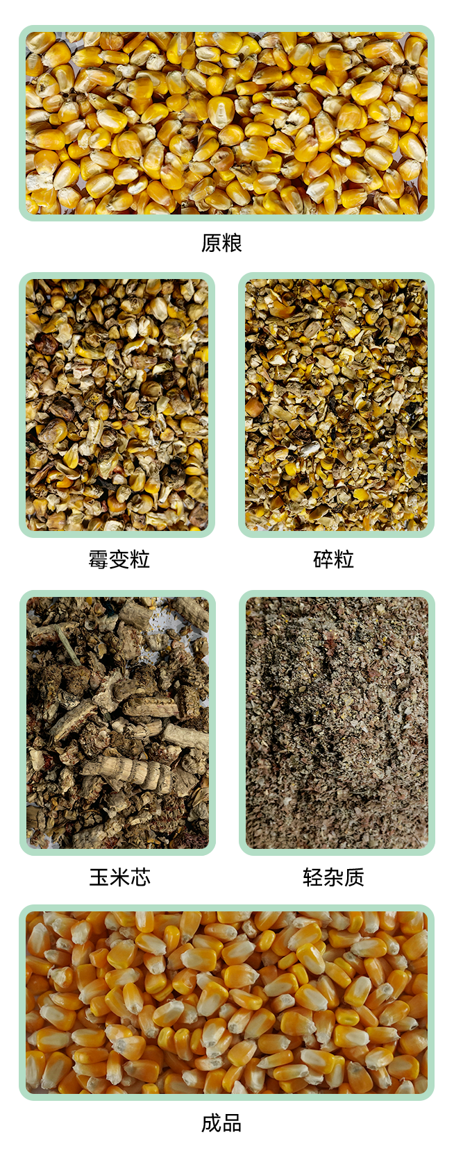 1769418309939702.jpg 5XFZ-40ZA小程序.jpg